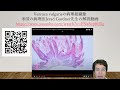 Verruca Vulgarisの病理組織解説 Verruca Vulgarisの病理組織解説