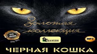 Шансон — Группа Чёрная кошка