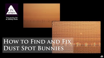 How to Find and Fix Dust Spot Bunnies