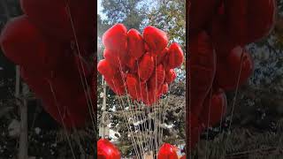 Love balloon | Happy Valentines day | JaDekhi |
