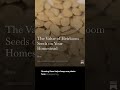 The Value of Heirloom Seeds on Your Homestead