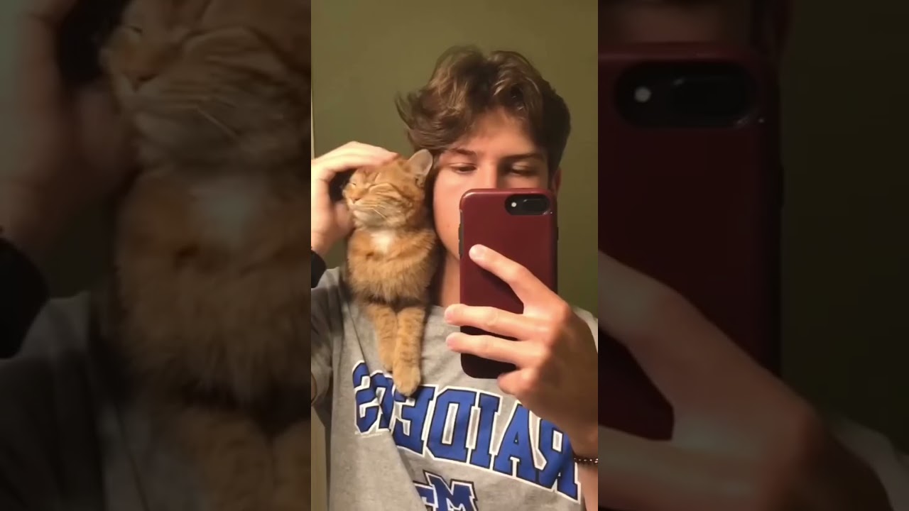 Happy National Cat Day 