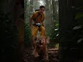 "Tiny Koala Begs for Help… Emotional Forest Rescue Story 🌿🐨"