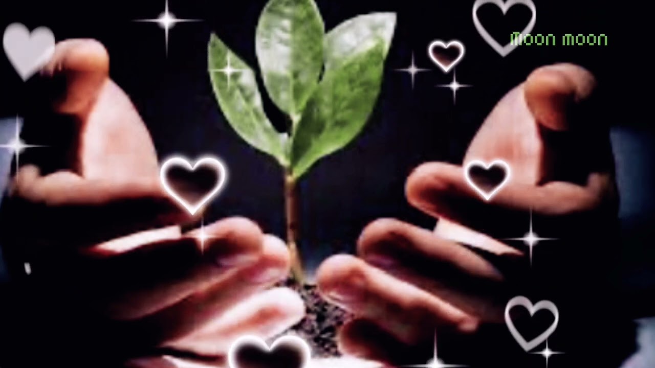 sự trả ơn của cậu bé nghèo làm lay động lòng người