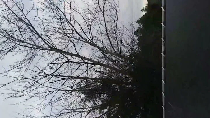 Zane Morrison gets a trampoline