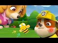 The Boo Boo, Bee Song | Paw Patrol Kids Songs