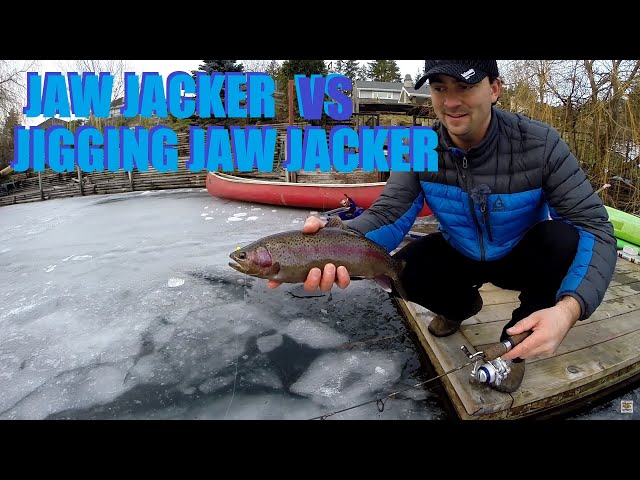 Jaw Jacker VS Jigging Jacker VS The Fish Doc - Ice Fishing Off The Dock 