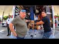 Family Leaves Dogs in 102° Heat Inside U-Haul