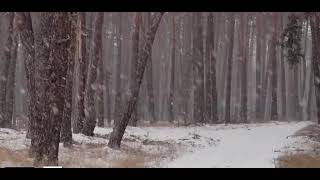 Падал снег-Snow was falling!
