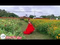 Model Bảo Ngọc [Bán kết Angle Baby] - Little Flowers