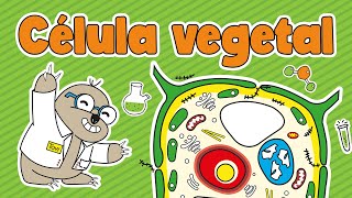 La célula vegetal | Partes de la célula vegetal