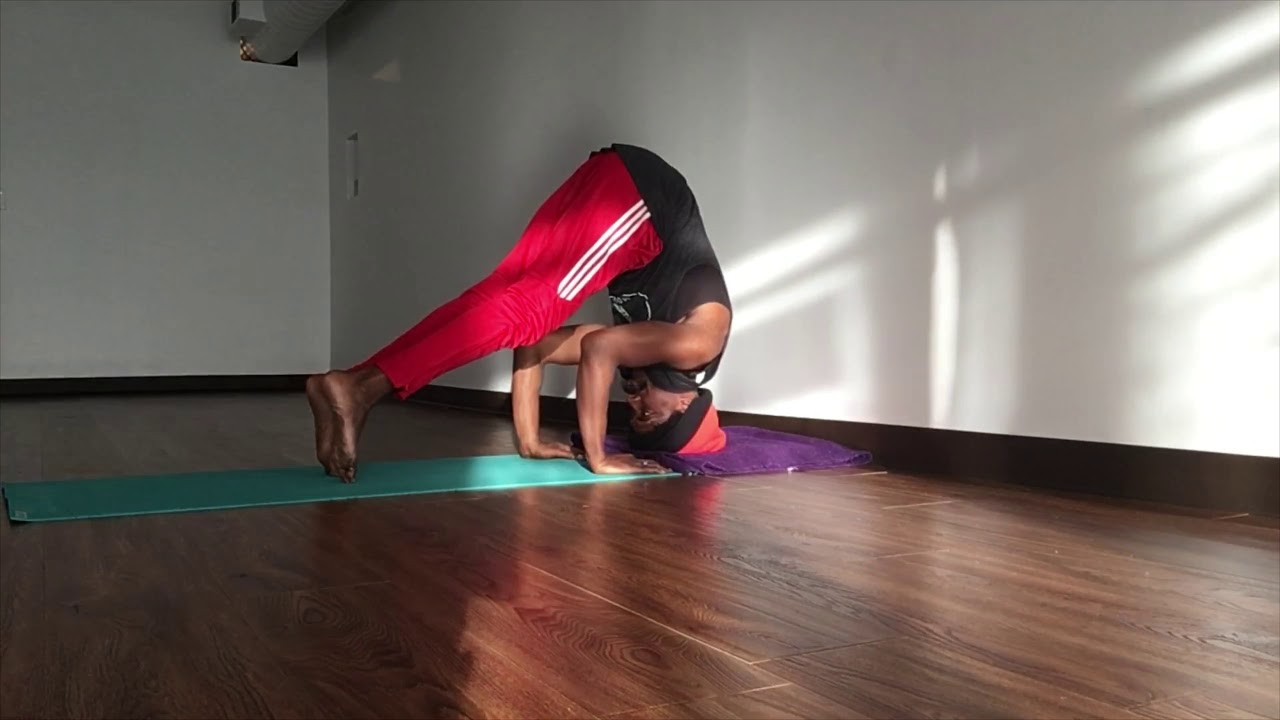 Tripod Headstand in 2 minutes with Yogi Bear YouTube