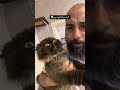 قاىلبي الفحمة Cat تربية القطط