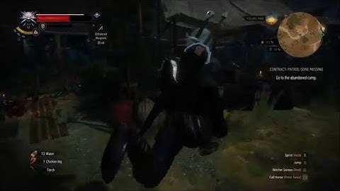 The Witcher 3: Wild Hunt- Weird/Funny Walking Glitch