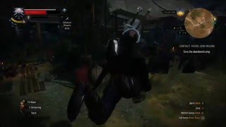 The Witcher 3: Wild Hunt- Weird/Funny Walking Glitch