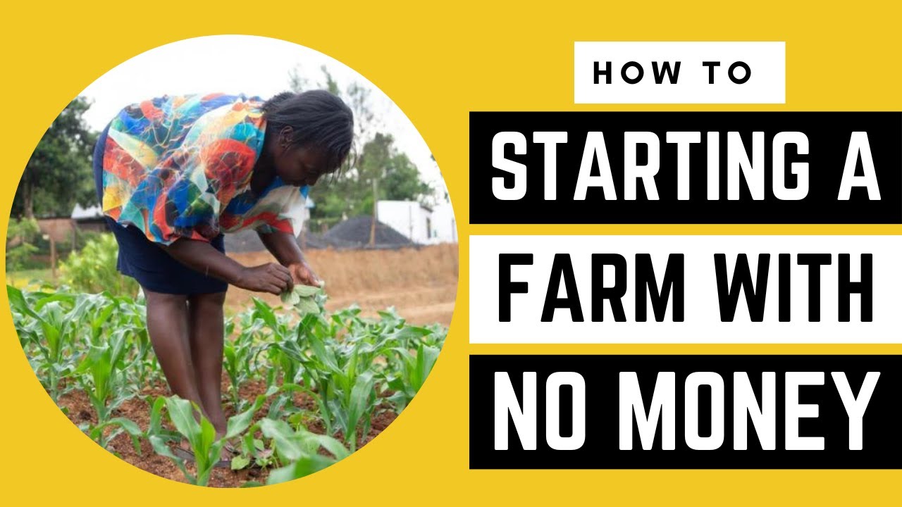 Starting a FARM in 2023 with NO MONEY | AFRICA FARMING (HOW TO ep 22