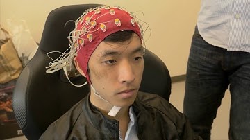 IEEE Brain Initiative: The Science of Rapid Decision Making