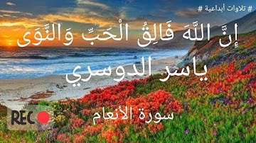 تلاوة خاشعه من سورة الأنعام ( إِنَّ اللَّهَ فَالِقُ الْحَبِّ وَالنَّوَىٰ ۖ ) ياسر الدوسري