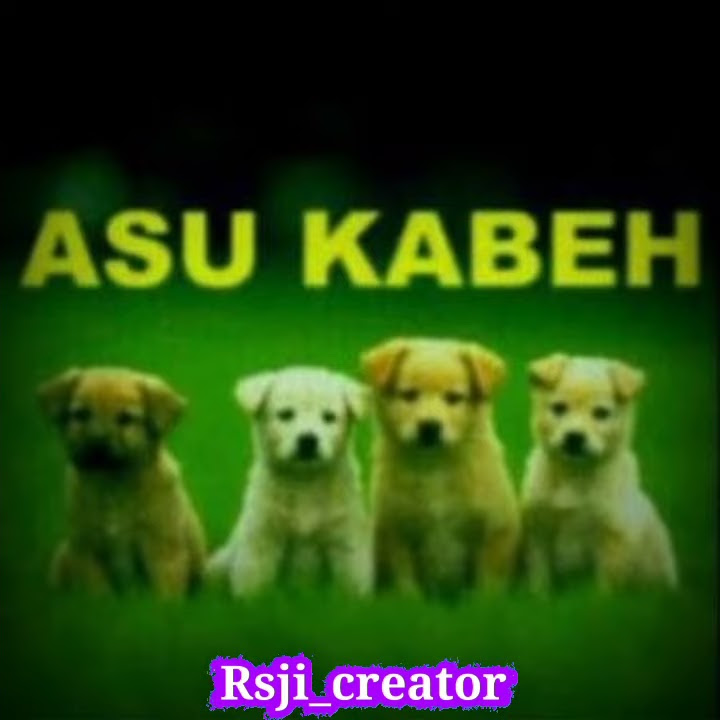 story wa pancen asu, kowe terbaru 2021 30 detik