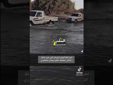 ١ نوفمبر ٢٠٢١