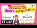 Grupos y Agrupamientos en MOODLE: Asigna trabajos distintos por grupo│Examen por filas