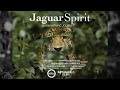 Jaguar spirit an awakening journey  wildlife documentary official trailer