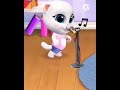 do bari do song cute cat 🐱🐈