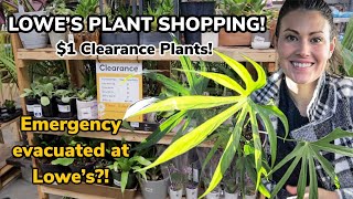 $1 Clearance Plants! Lowe's Big Box Plant Shopping & Plant Haul - Emergency Evacuated At Lowe's!