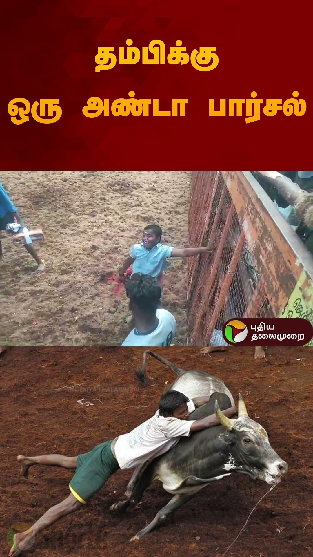 தம்பிக்கு ஒரு அண்டா பார்சல் | #jallikattu2025 | #madurai | #shorts