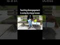 Bisghetti is being trained to disengage from all types of distractions #reactivity