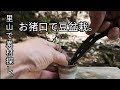 Natural bonsai/盆栽日記 #74「里山で山採り 盆栽愛好家の楽しみ」