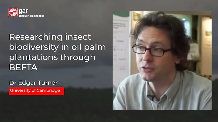 Researching insect biodiversity in oil palm planta...