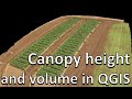 How to measure canopy height and volume using QGIS (Drones in Agriculture series, 6/7)