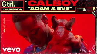 Calboy – Adam \& Eve Lyrics ( slowed + reverb )