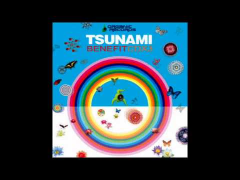 Vídeo: Com Va Canviar El Meu Tsunami