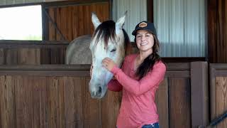 Meet Hailey Kinsel's Horses