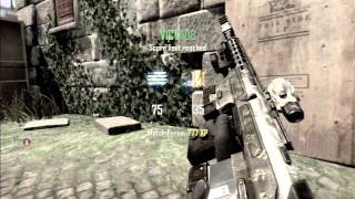 SICK WINDOW SHOT! (BO2 Clip)