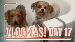 Vlogmas Day 17: Puppy Bath Time!