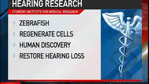 Piotrowski Lab research featured on CBS Cincinnati