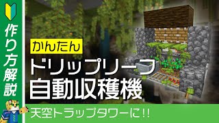 天空トラップタワーに 自動ドリップリーフ増殖装置の作り方 統合版マイクラ 1 19 Youtube
