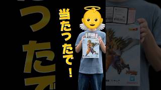 一番くじ】親子かめはめ波をぶち抜きたい！争奪戦を制したのは