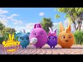 SUNNY BUNNIES - The Final Boss | Season 2 | Cartoons for Children