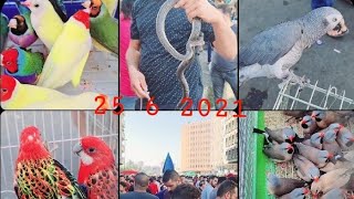 سوق الغزل يوم الجمعه بيع وشراء الحيونات مباشر في بغداد تاريخ 25 6 2021