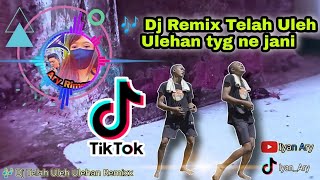 🎶 Dj Remix Telah Uleh Ulehan tyange ne jani. @bagus wirata || pan lara a.a.raka sidan