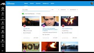 How to Use Canvas Commons