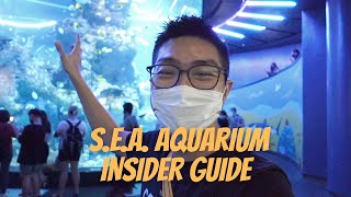 Insider Guide to Exploring SEA Aquarium in Sentosa | Singapore