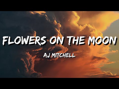 AJ Mitchell - Flowers on the Moon (Official Visualizer)