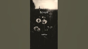 #المنشاوي. #سورة_المؤمنون