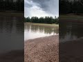 Come fishing with me #fishing #lake #williams #fishingtrip