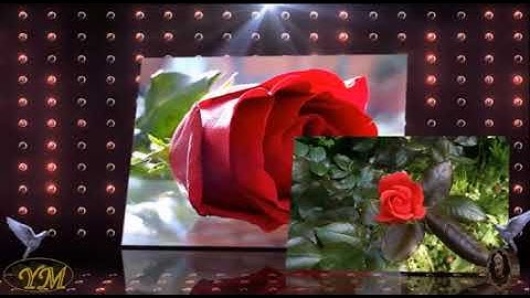 104 Surat Al Humazahالشيخ محمد الطبلاوي سورة الهمزة